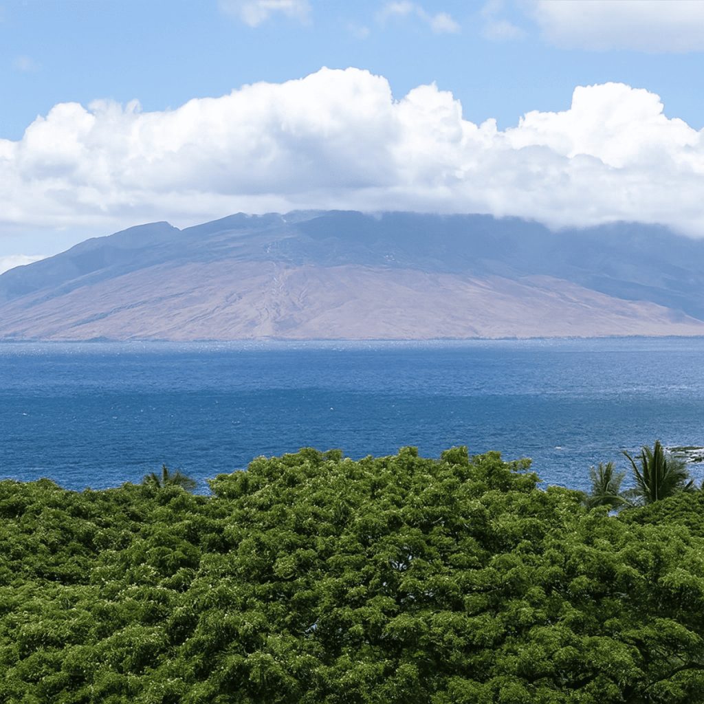 Mark Zuckerberg Hawaii Estate