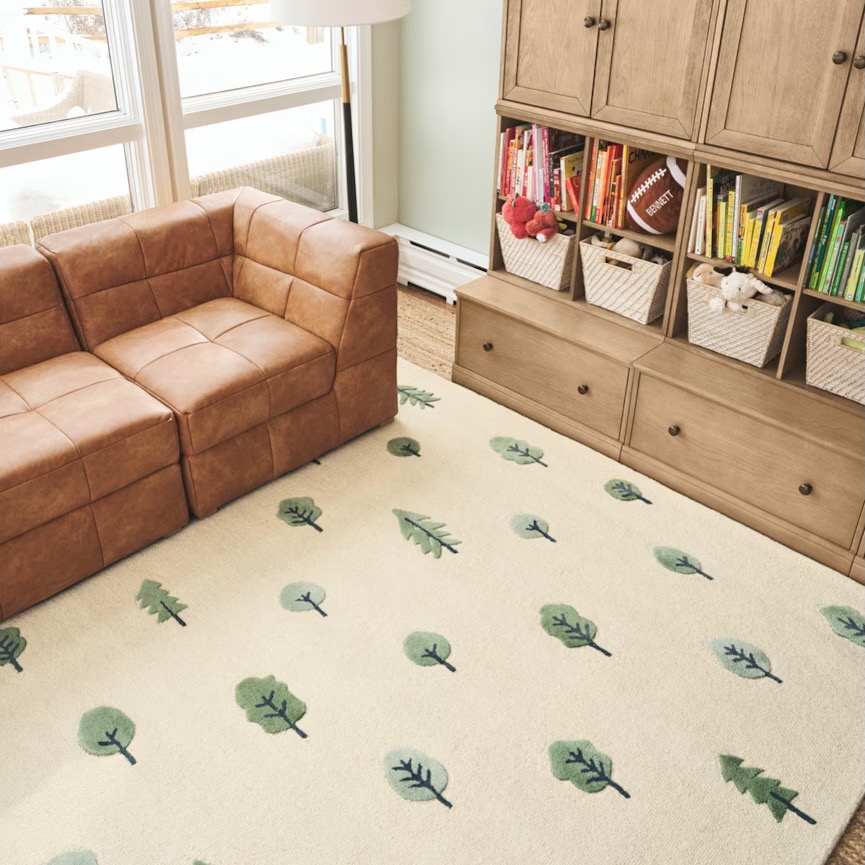 Playroom in Jason Kelce's  Pennsylvania Home