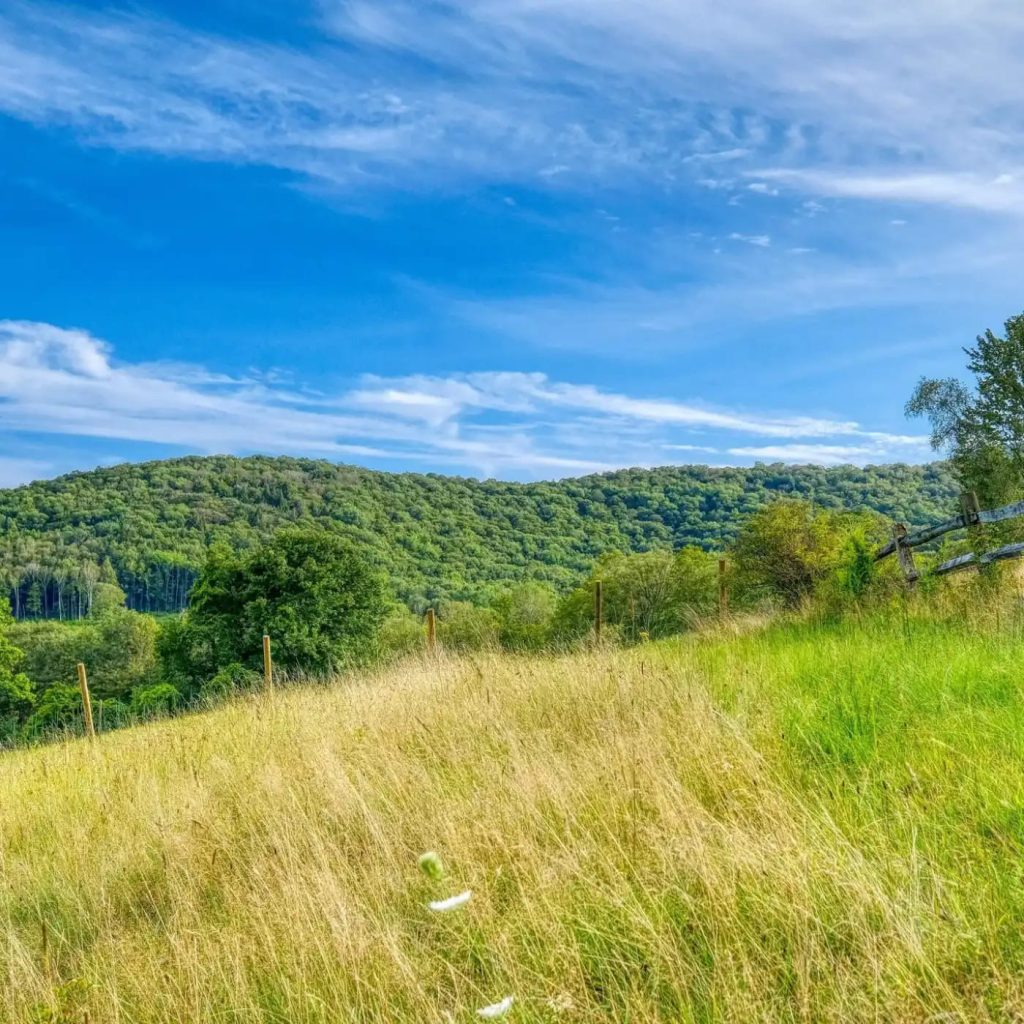 Surroundings of Christopher Reeve’s Former MA Home