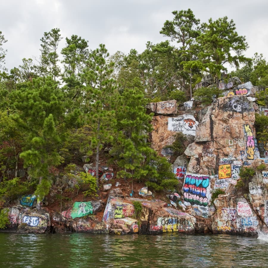 Vibrant Cliffs of a Lake Martin Property