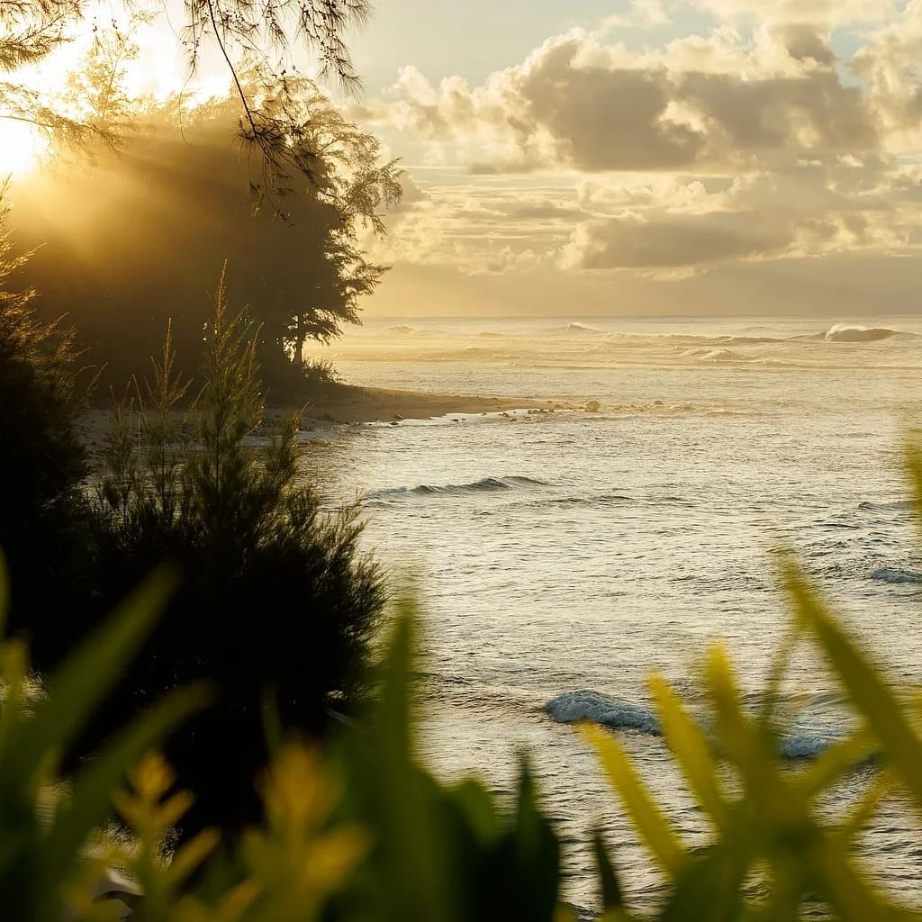 Sunrise of Julia Roberts’ Former Hawaii Home
