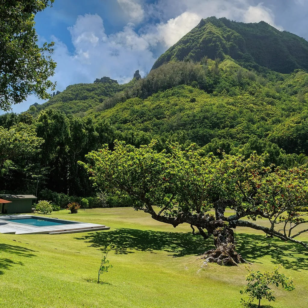 Lawn of Julia Roberts’ Former Hawaii Home