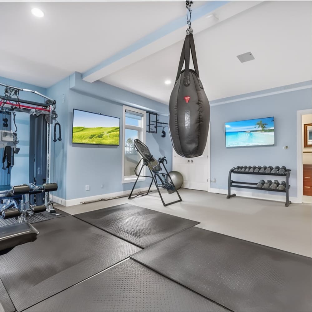 Gym in Stephen A. Smith’s NJ Home